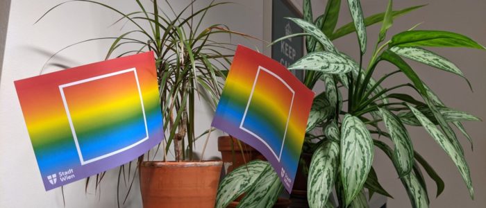 Gay Pride Month 2021 im Suchthilfe Wien Büro: 2 Regenbogenfähnchen dekorieren die Topfpflanzen