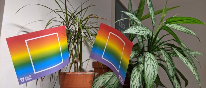 Gay Pride Month 2021 im Suchthilfe Wien Büro: 2 Regenbogenfähnchen dekorieren die Topfpflanzen